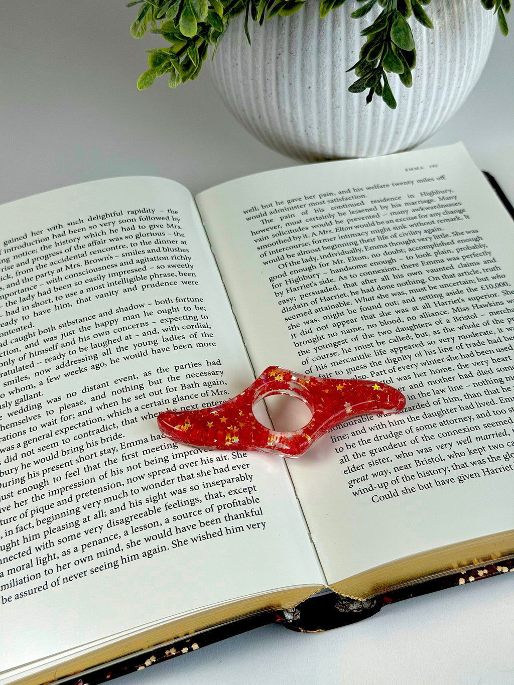 Open book with a decorative red flower on a white surface, with a plant in the background.