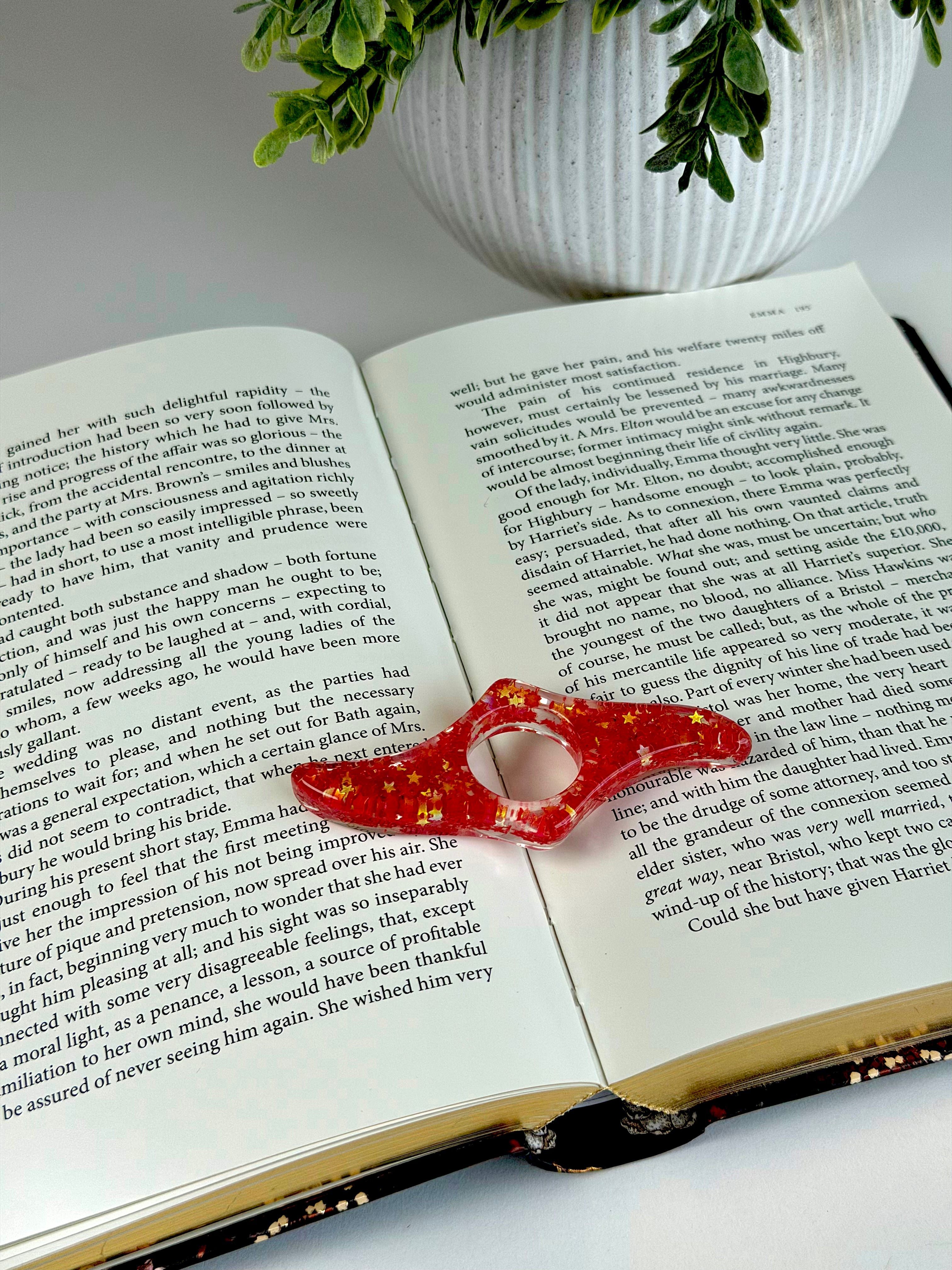 Open book with a decorative red flower on a white surface, with a plant in the background.