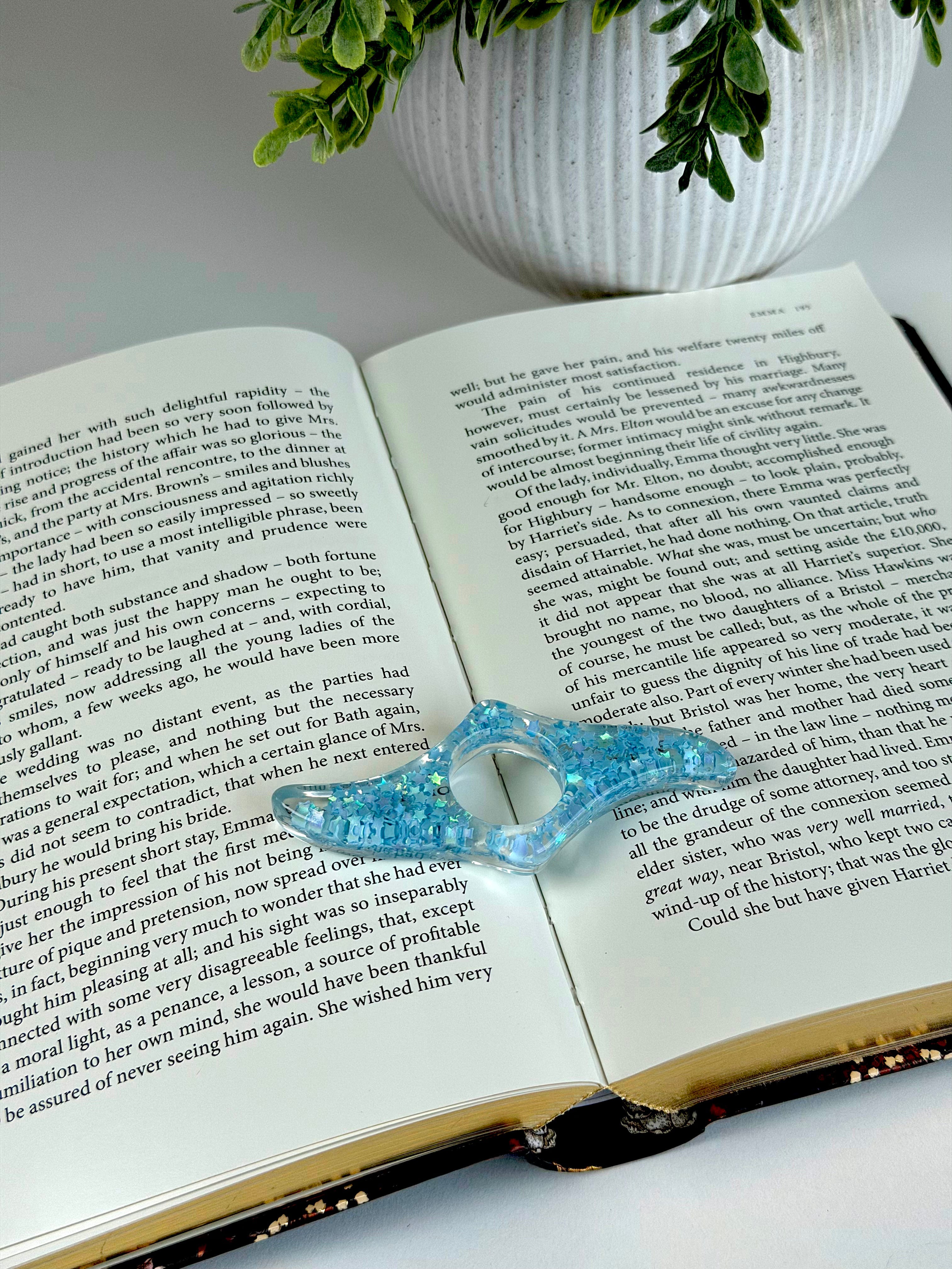 Blue decorative item on an open book with a plant in the background