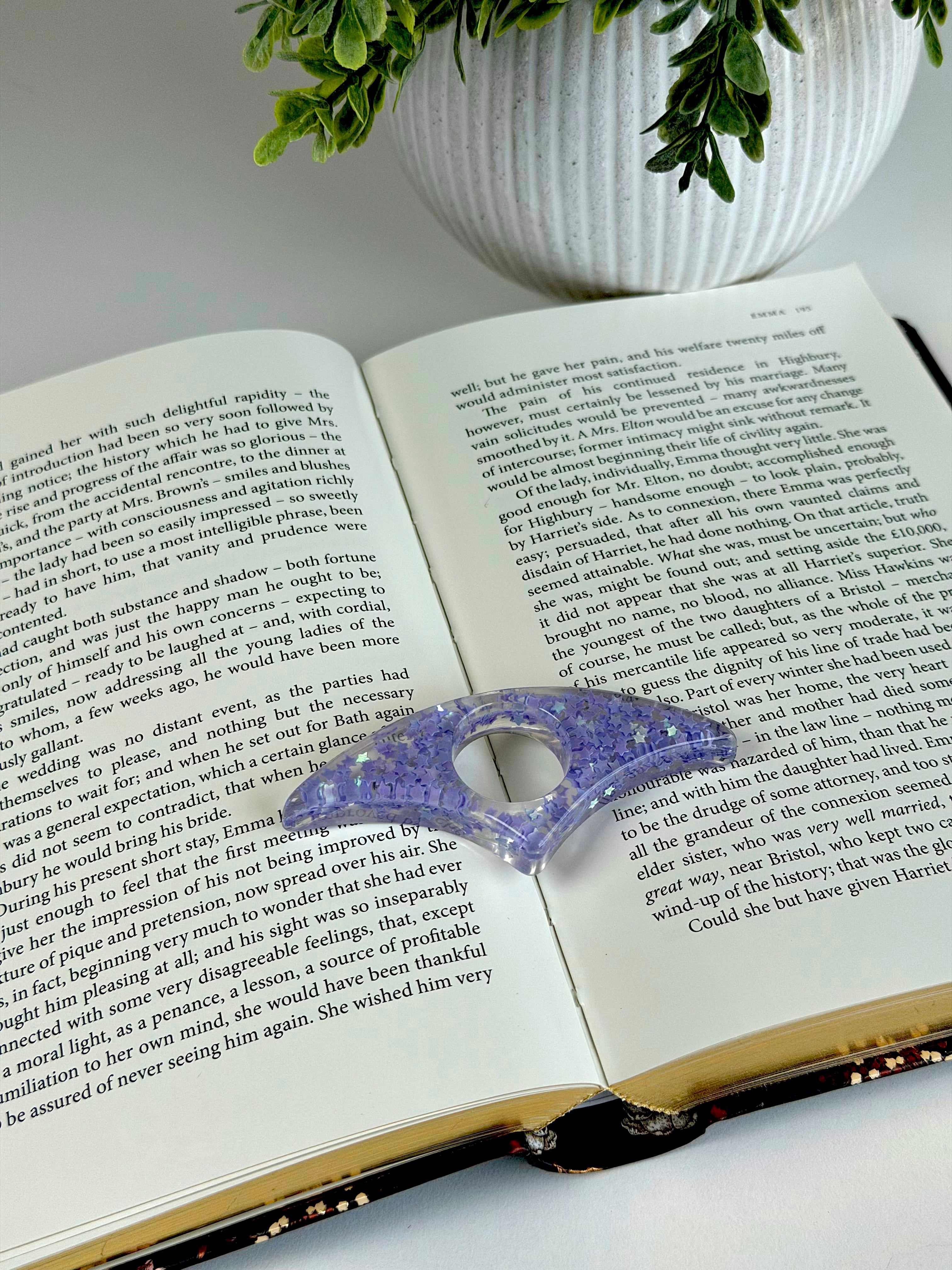 Open book with a decorative purple object on top, next to a potted plant.