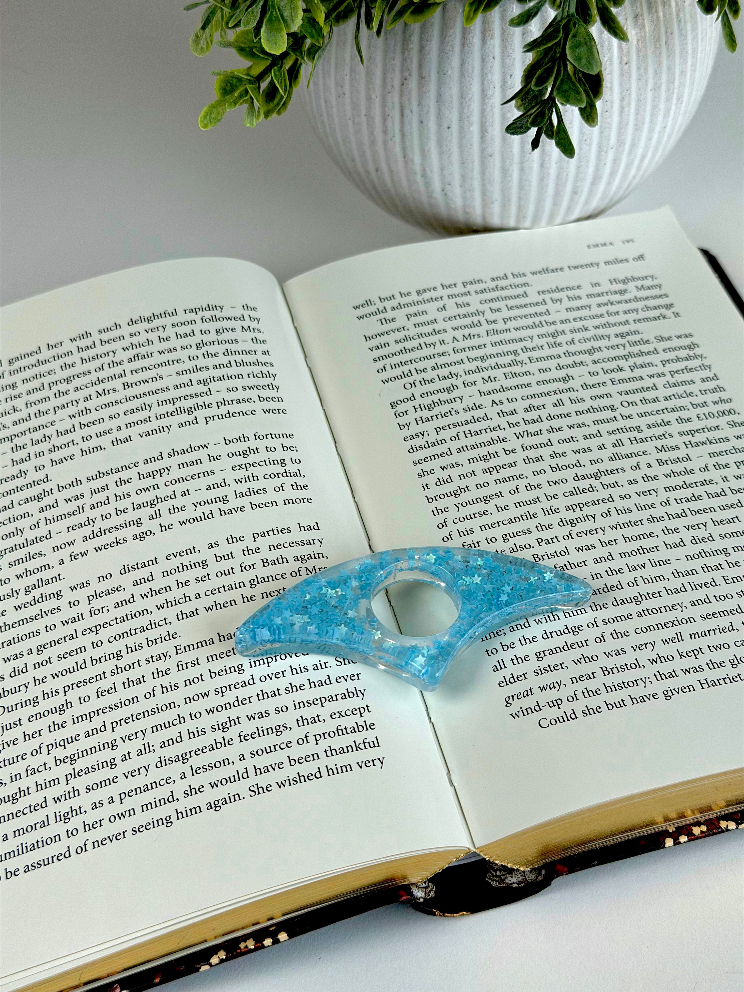 Blue decorative object on an open book with a plant in the background