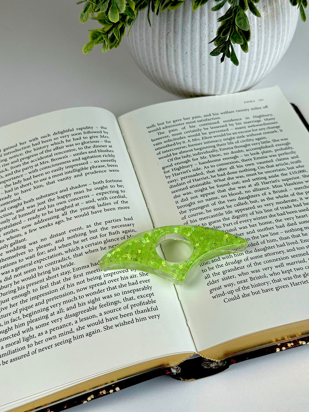 Open book with a green leaf-shaped object on top, next to a potted plant.