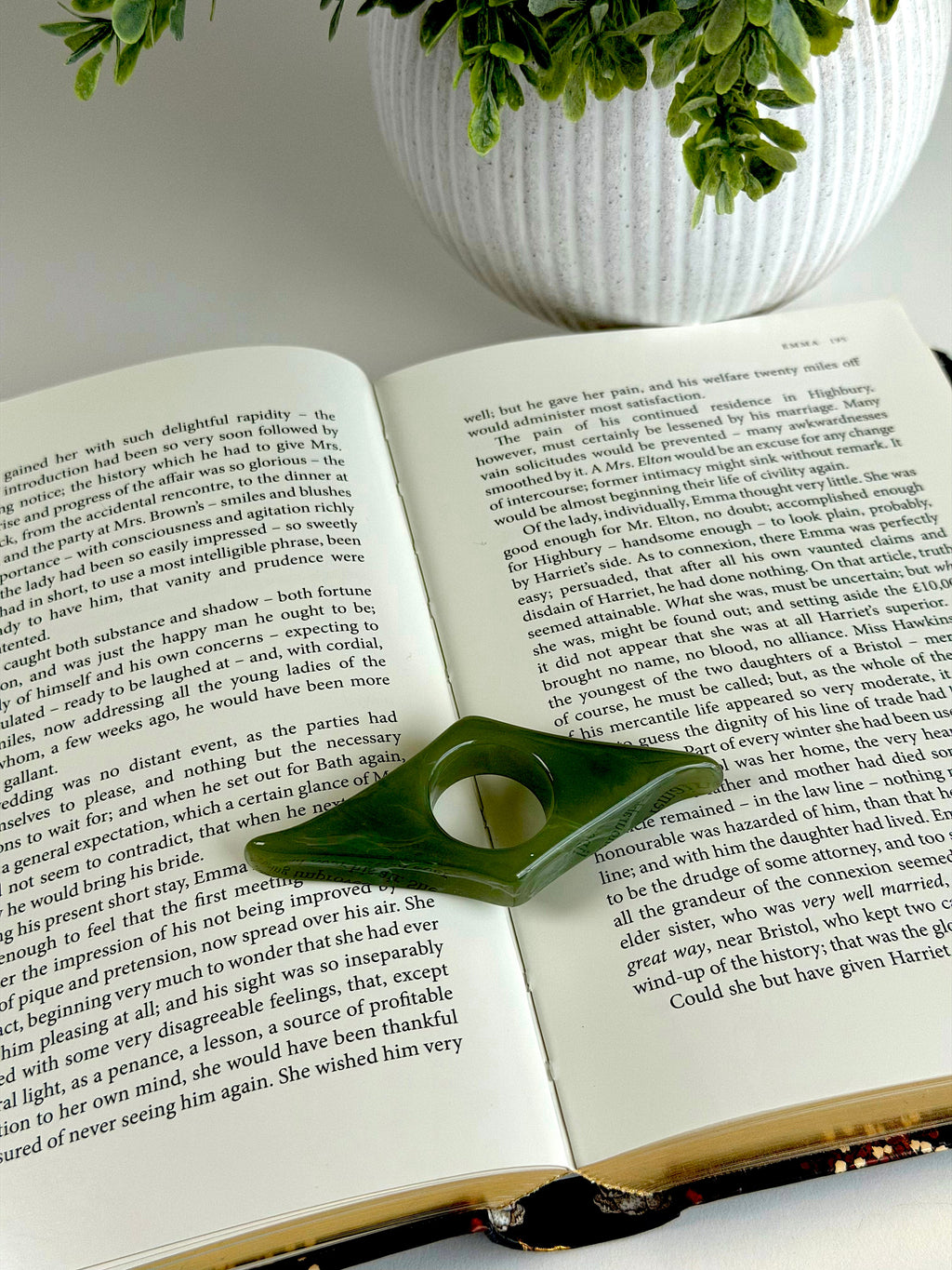 Open book with a green page holder on top, next to a white vase with plants.