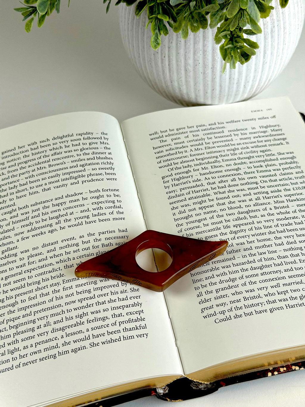 Open book with a decorative page holder on top, next to a potted plant.