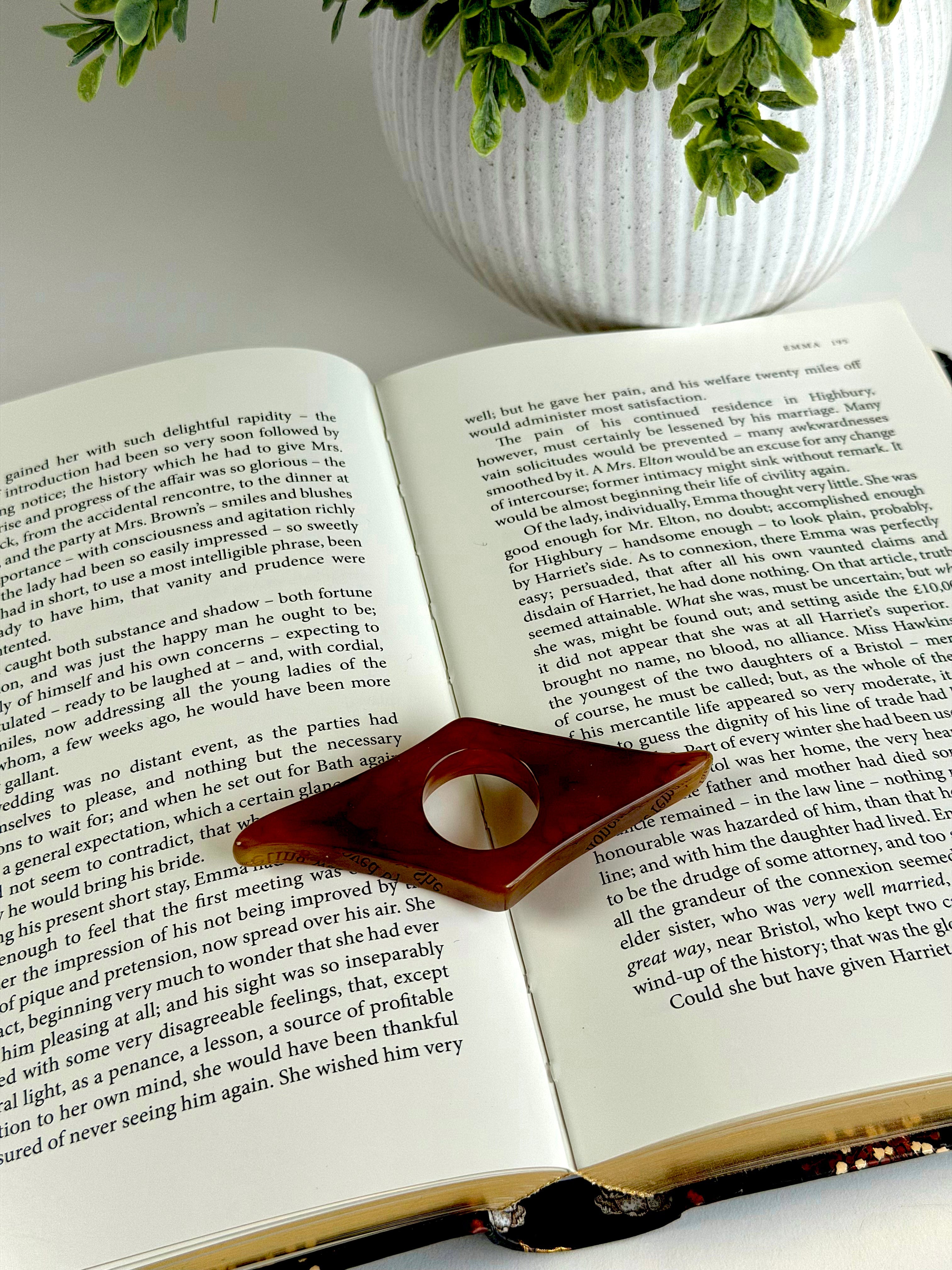 Open book with a decorative page holder on top, next to a potted plant.