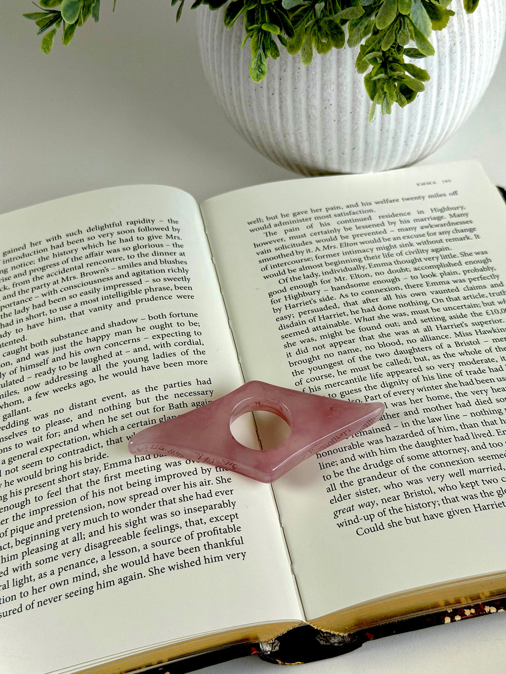 Open book with a pink page holder on top, next to a potted plant.