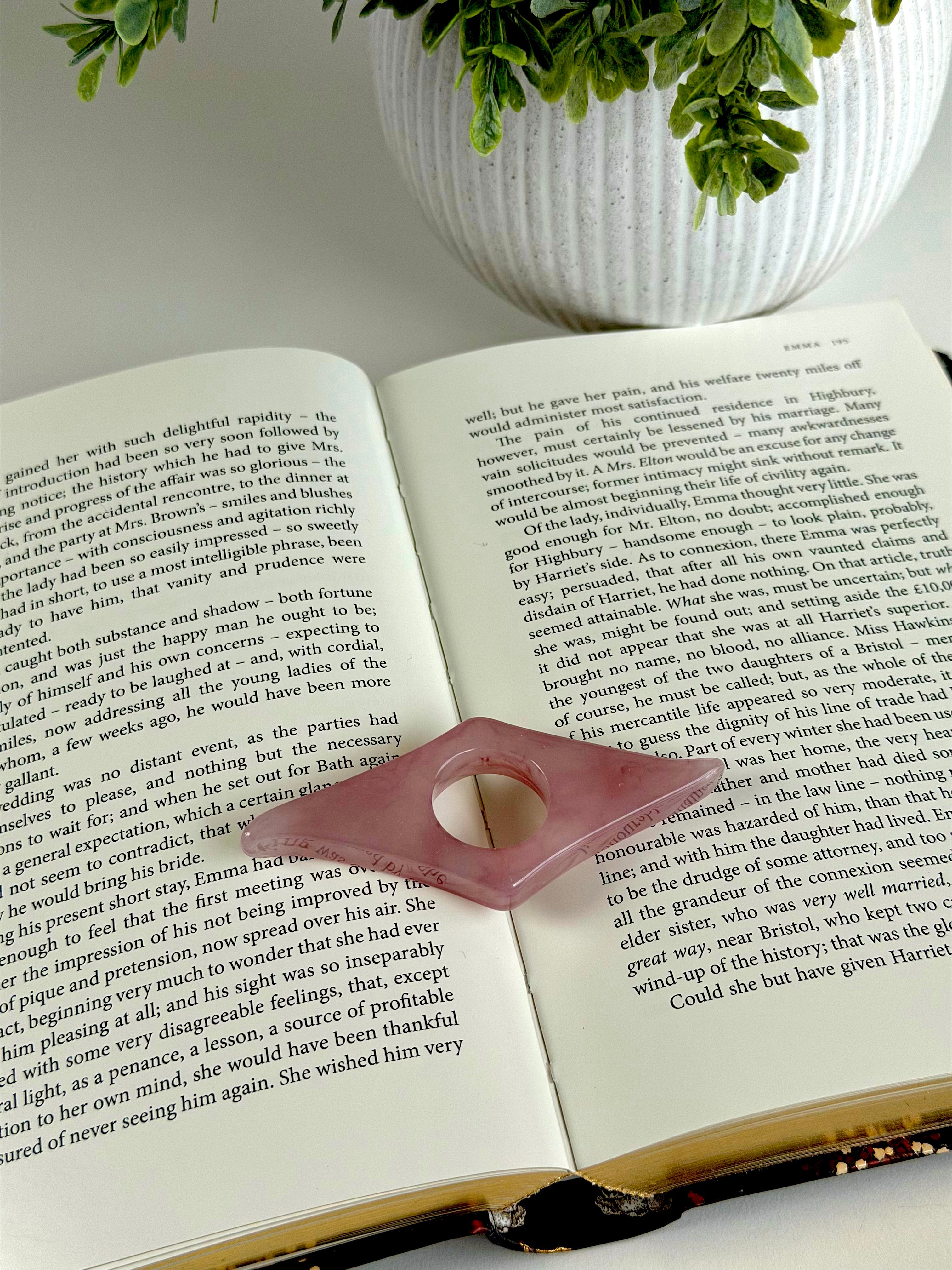 Open book with a pink page holder on top, next to a potted plant.