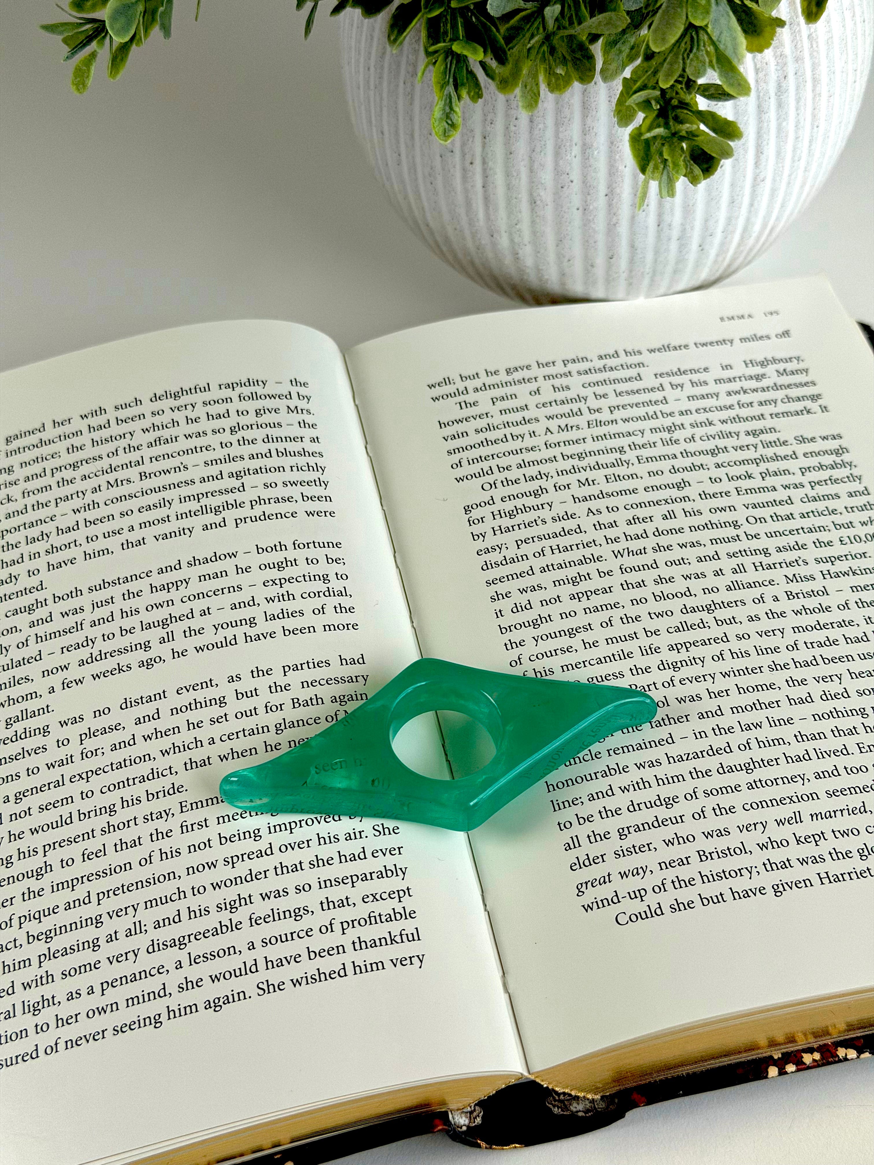 Green book marker on an open book with a plant in the background