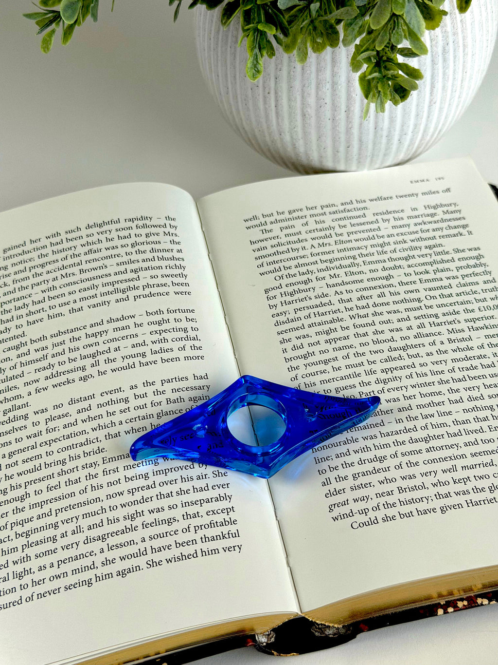 Blue page holder on an open book with a plant in the background