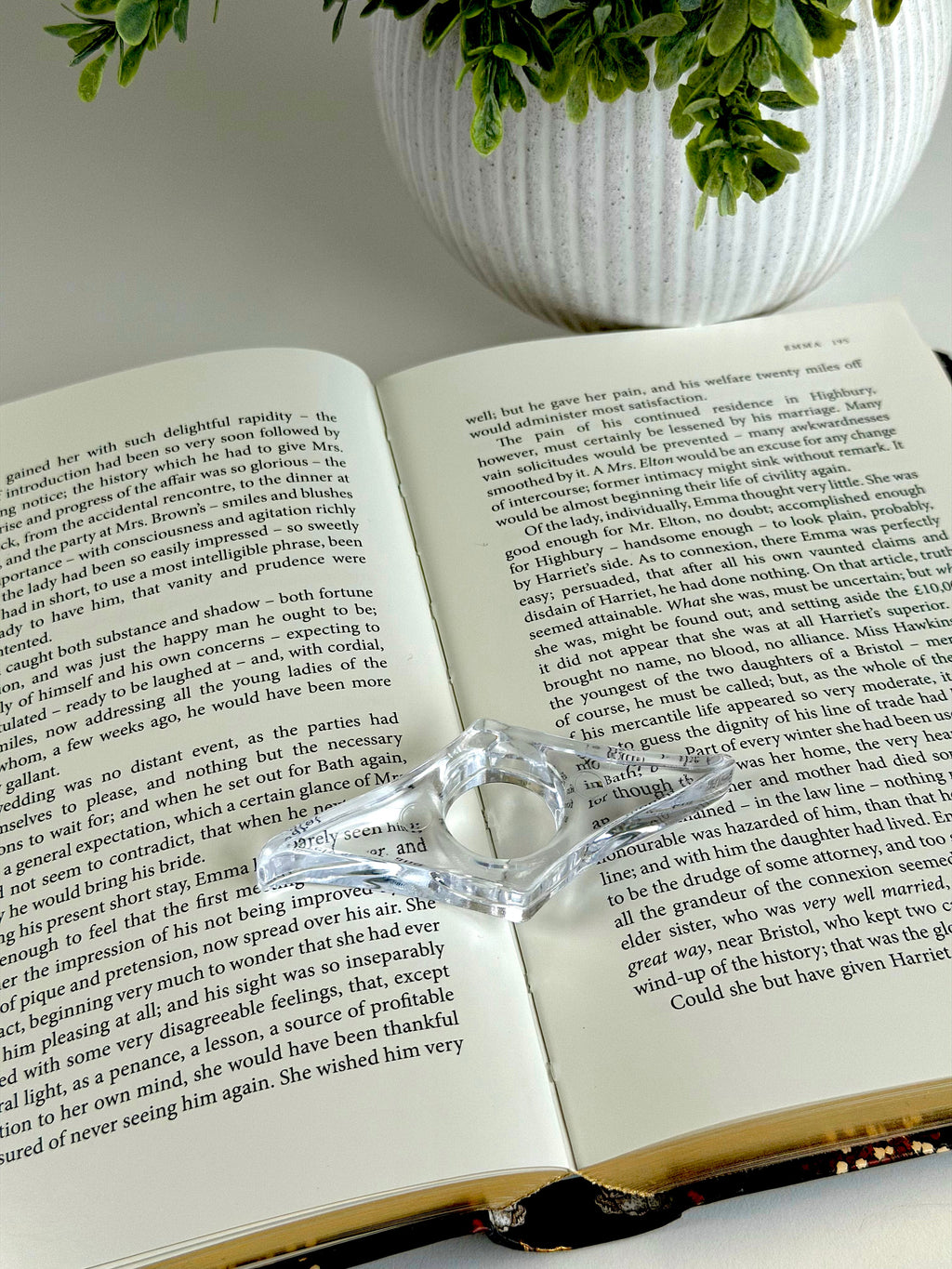 Open book with a heart-shaped glass ornament on top, next to a potted plant.
