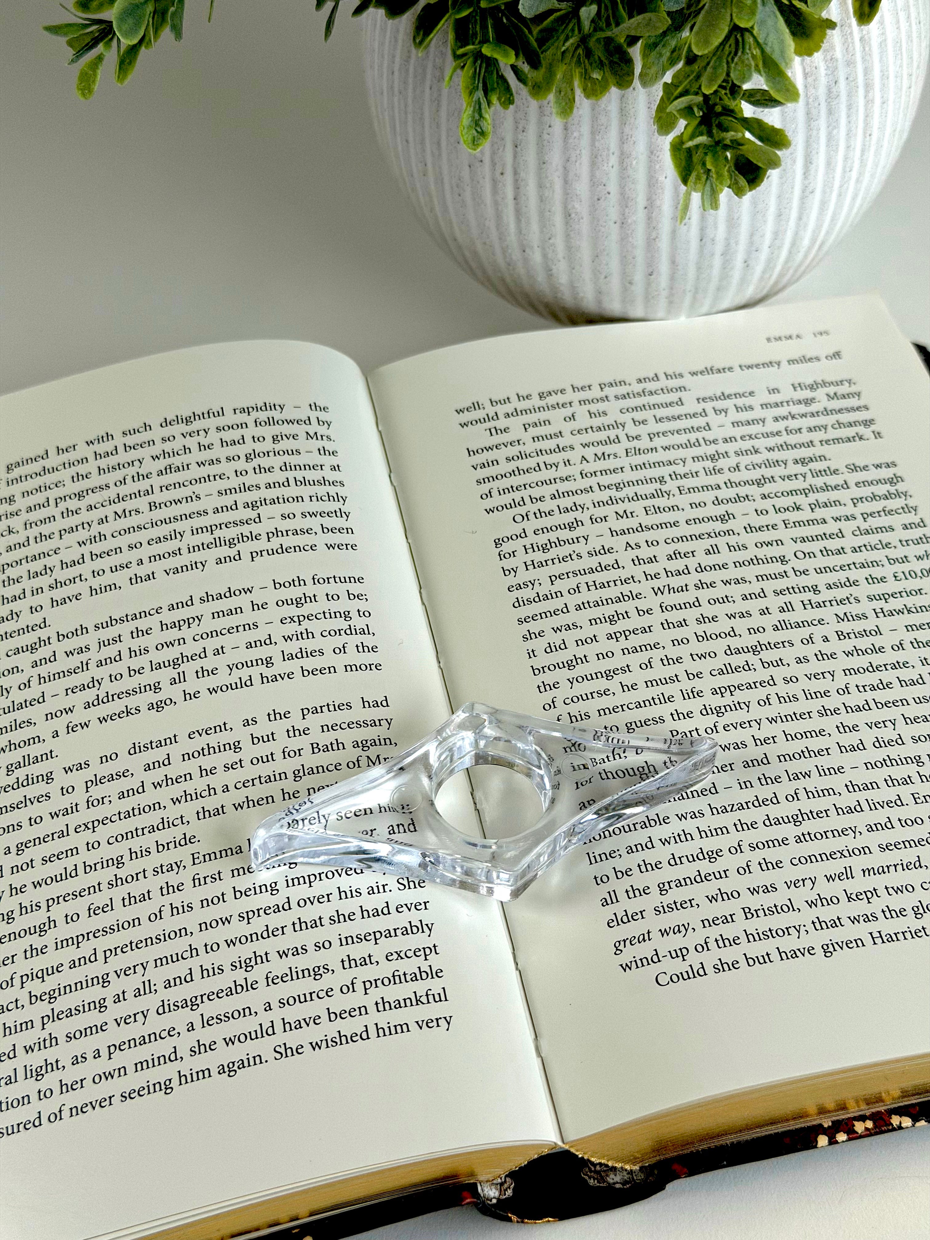 Open book with a heart-shaped glass ornament on top, next to a potted plant.