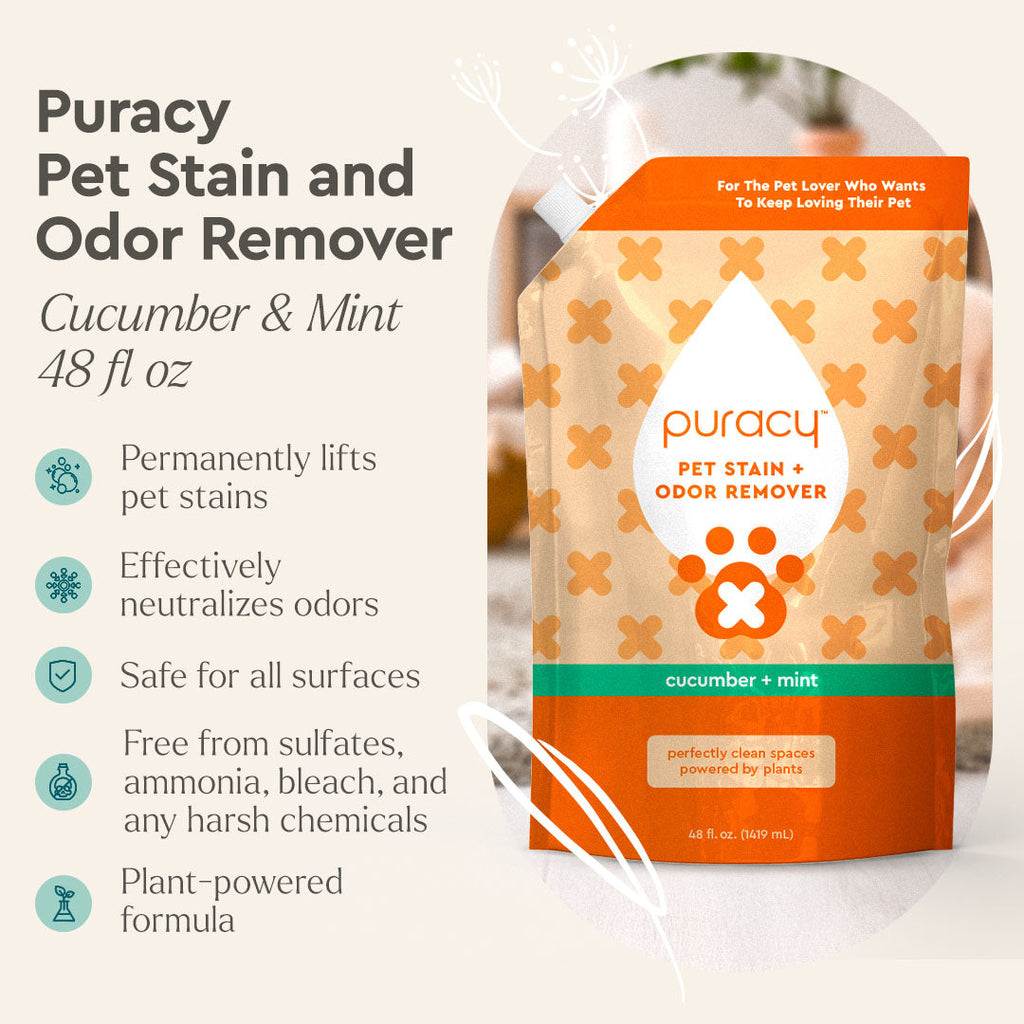 Puracy Pet Stain and Odor Remover refill packaging with product details on a white background