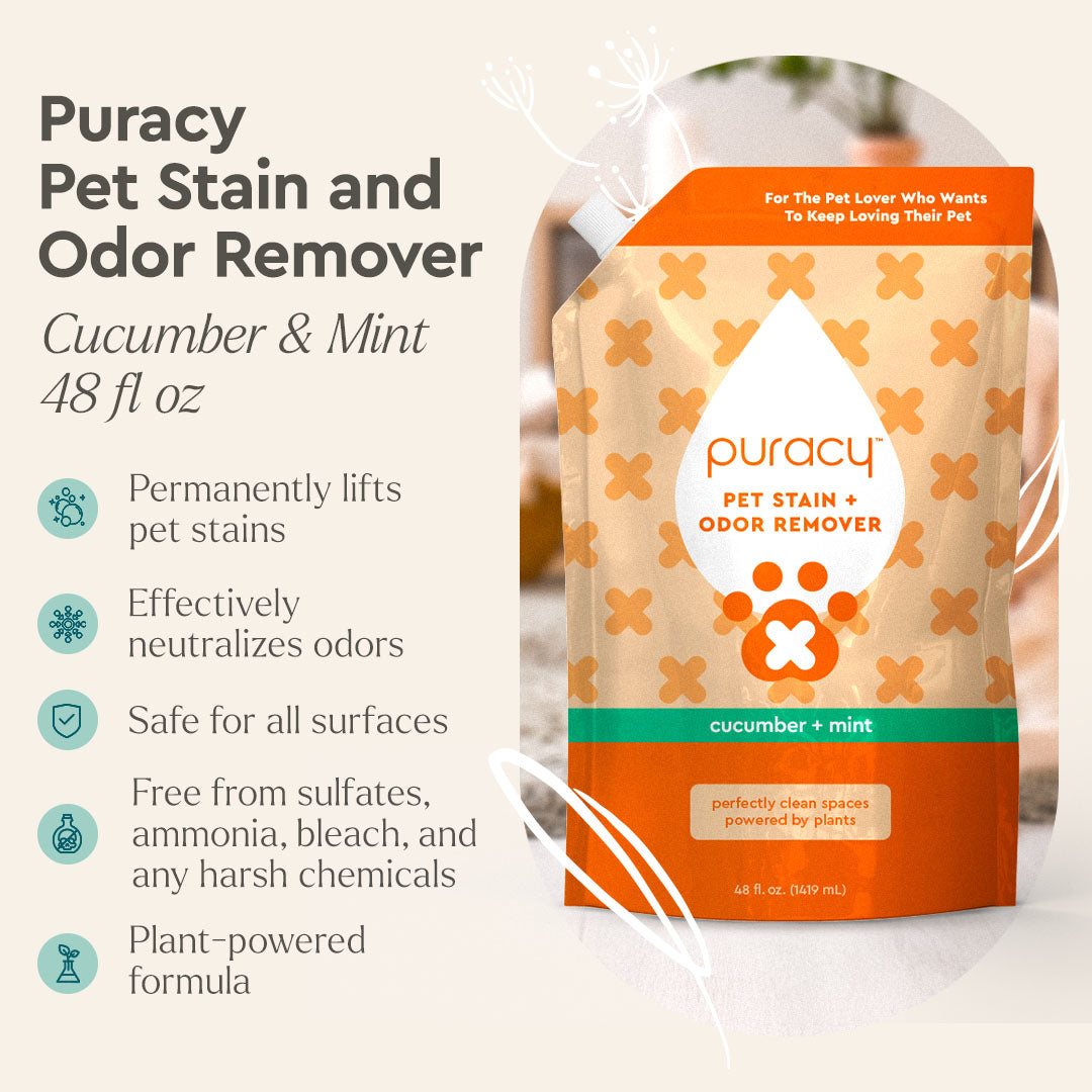 Puracy Pet Stain and Odor Remover refill packaging with product details on a white background