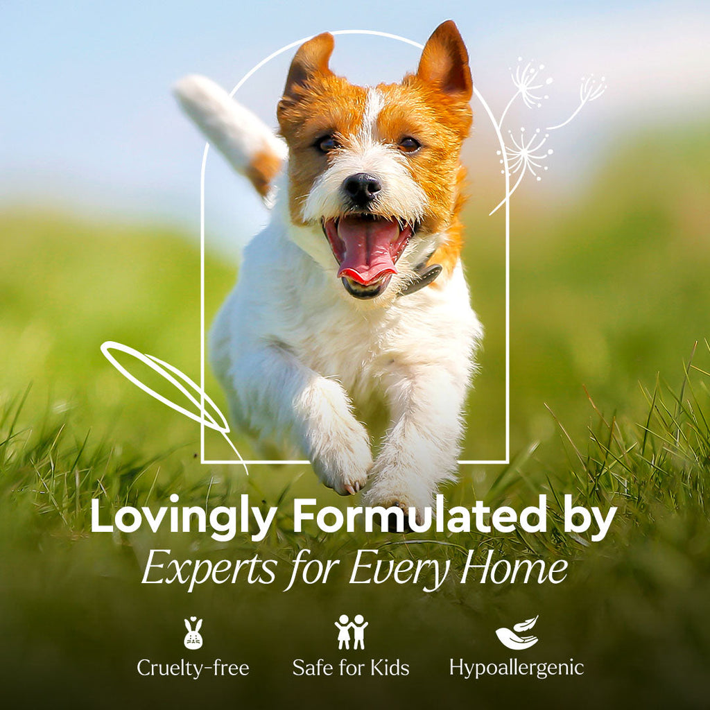 Dog running on grass with text about product formulation and features