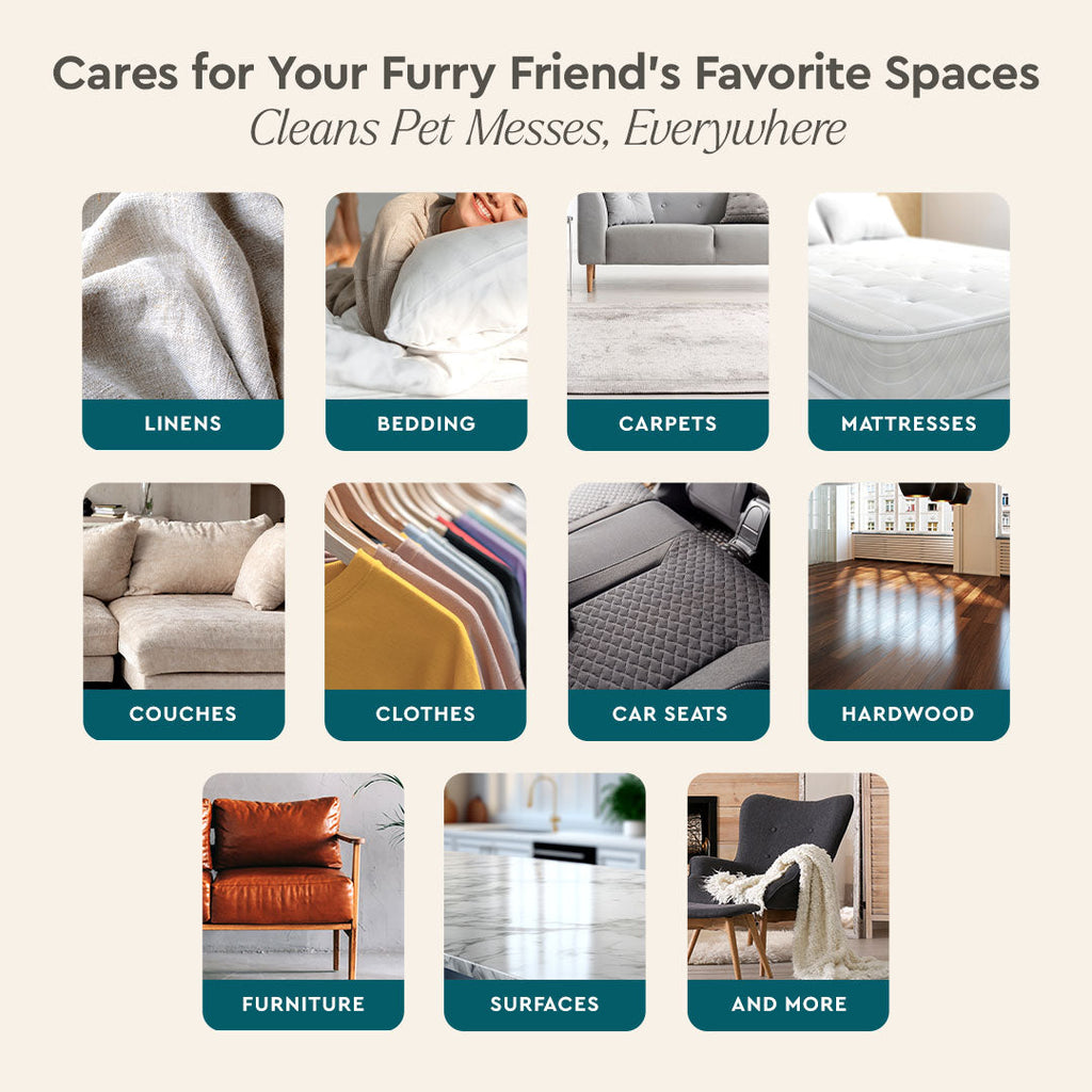 Product advertisement showing various cleaning services for pet messes on linens, bedding, carpets, etc.
