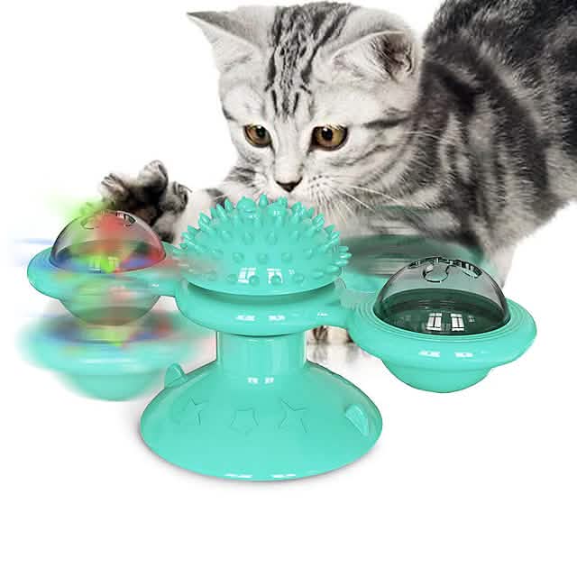 Cat playing with a blue rotating toy