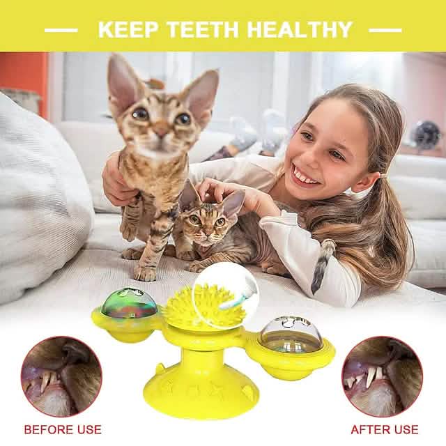 Girl with two cats and a dental toy for pets, with text 'Keep Teeth Healthy'.