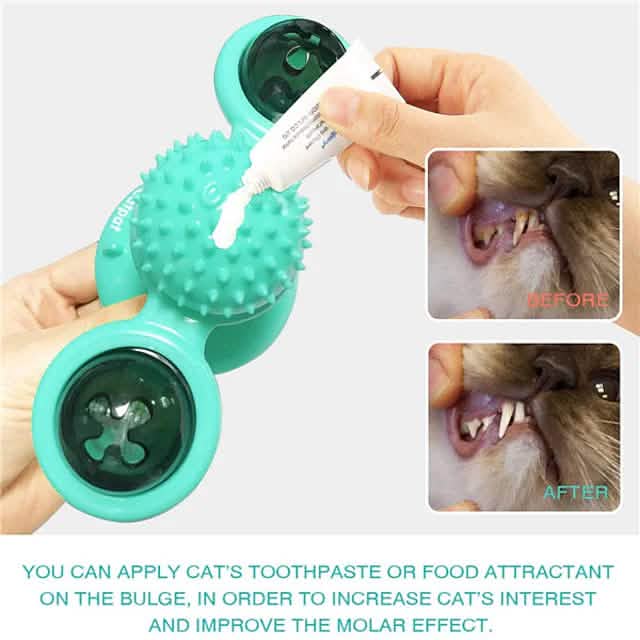Teal pet dental cleaning toy with a hand applying cat toothpaste, showing before and after effects on a white background.