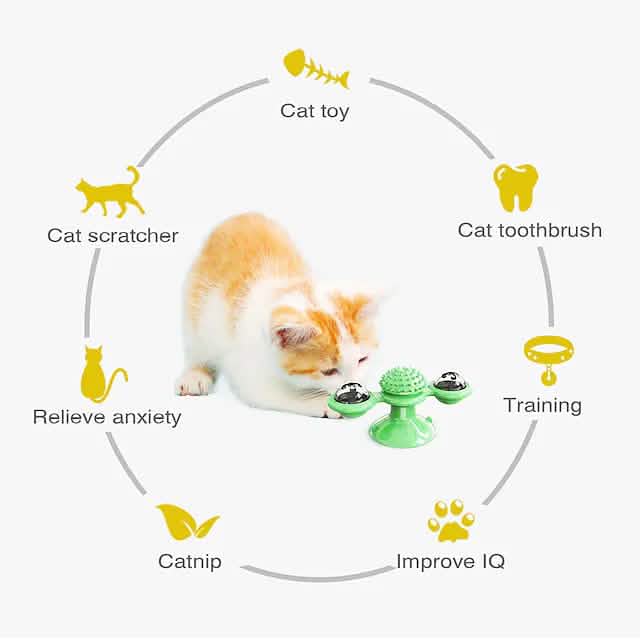 Cat playing with green rotating toy surrounded by things the toy does