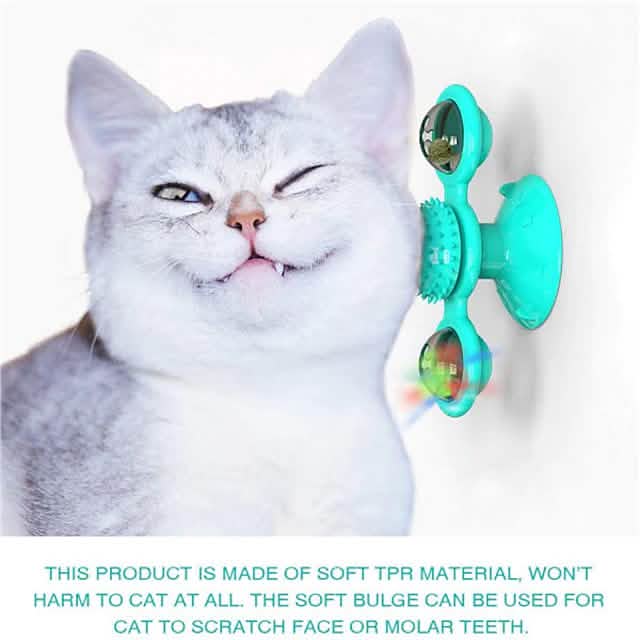 Cat with a blue fidget toy on a white background