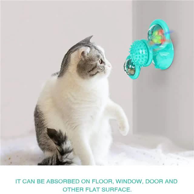 cat looking at rotating toy