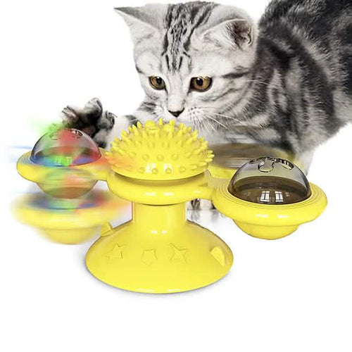 cat playing with yellow rotating toy