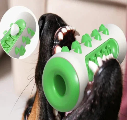 Dog using a green and white dental toy with close-up inset showing texture details.