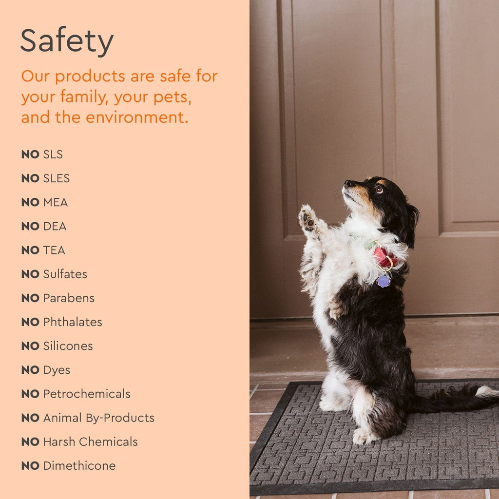 Dog standing on a doormat with safety information text on an orange background