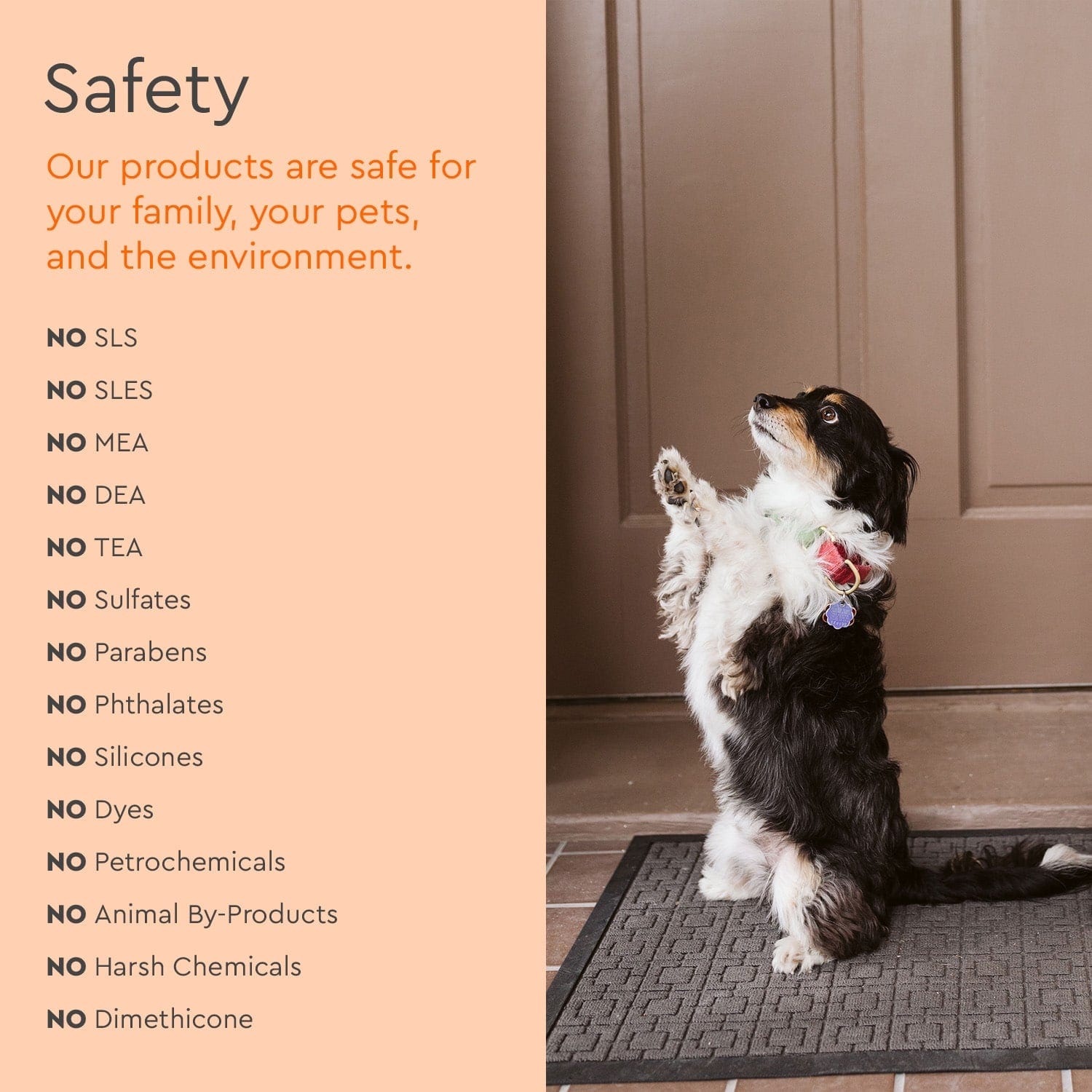 Dog standing on a doormat with safety information text on an orange background